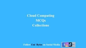 Cyber law & Professional Ethics MCQs (1)