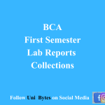 BCA First Semester Lab Reports Collections