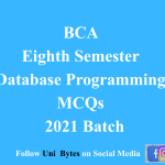 BCA Eighth Semester Database Programming MCQs of 2021 Batch