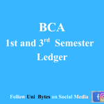 BCA First(2025) and Third(2024) Semester Ledger