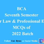 Cyber Law and Professional Ethics MCQs of 2022 Batch
