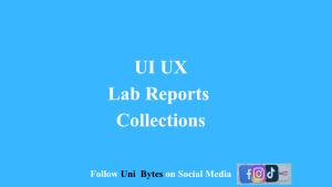 UI UX Lab reports
